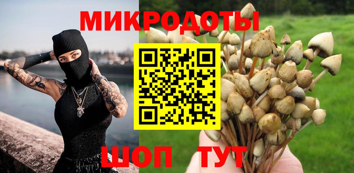 Галлюциногенные грибы Cubensis  Галлюциногенные грибы прущие грибы  Каменка  Вход с VPN 